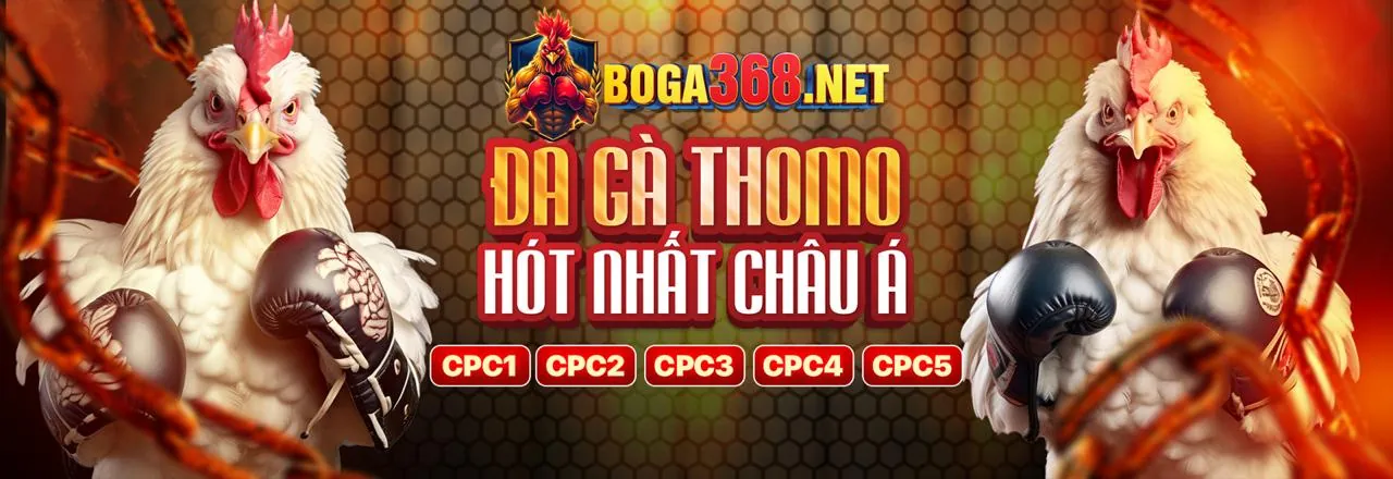 Đá Gà Trực Tuyến g666 website chính thức